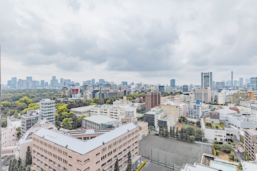 ブランズ千代田富士見のバルコニーからの眺望｜THE BRIDGE株式会社撮影