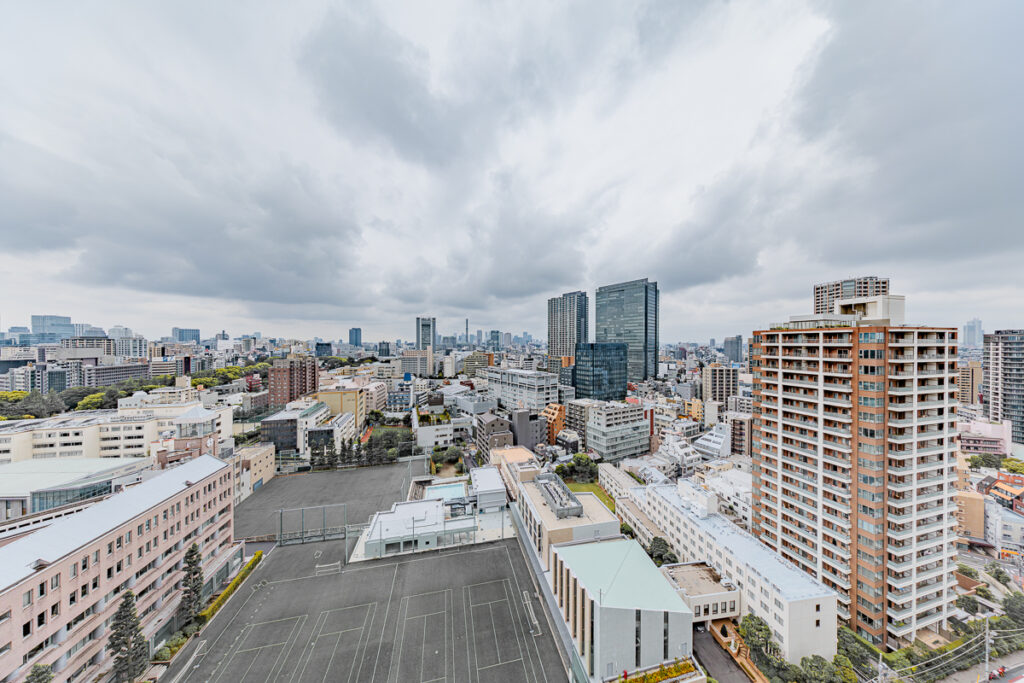 ブランズ千代田富士見のバルコニーからの眺望｜THE BRIDGE株式会社撮影