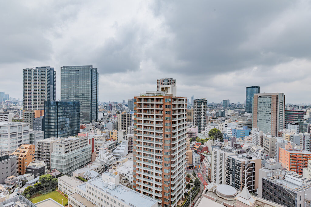 ブランズ千代田富士見のバルコニーからの眺望｜THE BRIDGE株式会社撮影